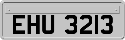 EHU3213