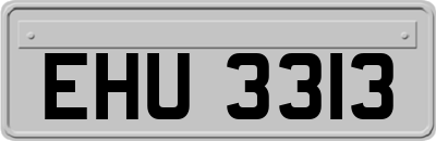 EHU3313