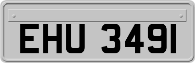 EHU3491
