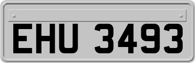 EHU3493