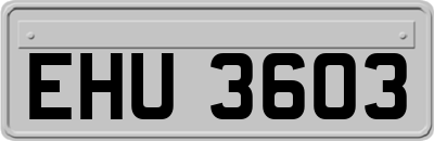EHU3603