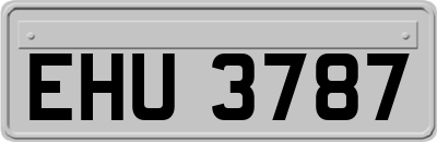 EHU3787