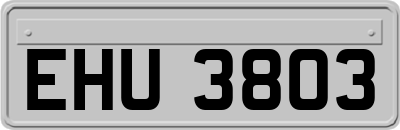EHU3803