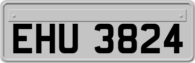 EHU3824