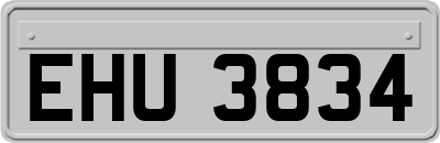 EHU3834