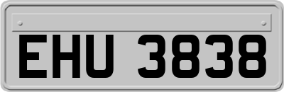 EHU3838
