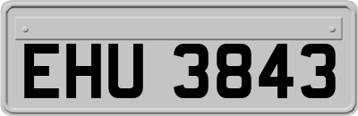 EHU3843