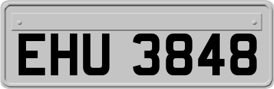 EHU3848