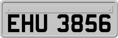 EHU3856