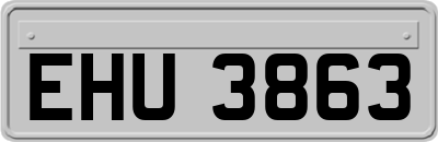 EHU3863