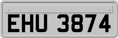 EHU3874