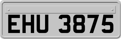 EHU3875