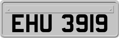 EHU3919