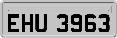 EHU3963