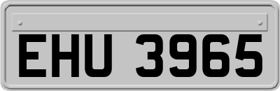 EHU3965