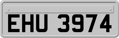 EHU3974