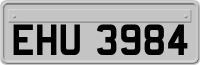 EHU3984