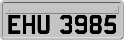 EHU3985
