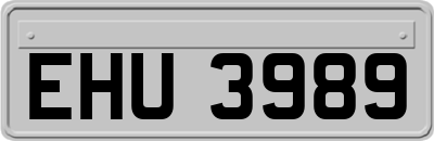 EHU3989