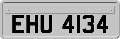 EHU4134