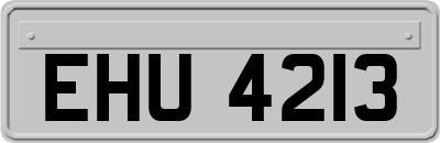 EHU4213