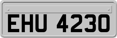EHU4230