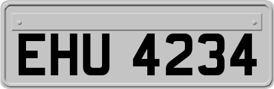 EHU4234