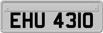 EHU4310