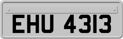 EHU4313