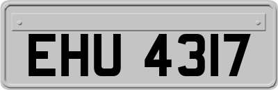 EHU4317