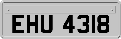EHU4318