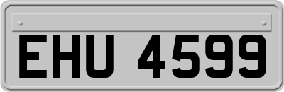 EHU4599