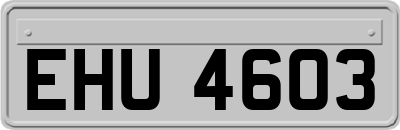 EHU4603