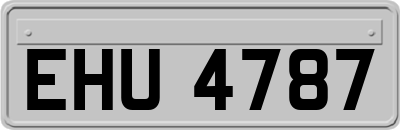 EHU4787