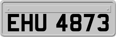 EHU4873