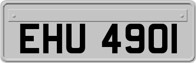 EHU4901