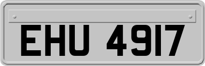 EHU4917