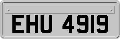 EHU4919