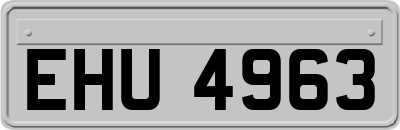EHU4963