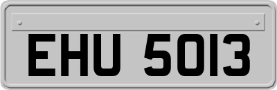 EHU5013