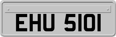 EHU5101