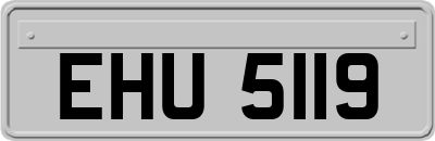 EHU5119