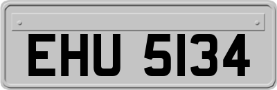 EHU5134