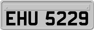 EHU5229