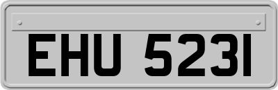 EHU5231