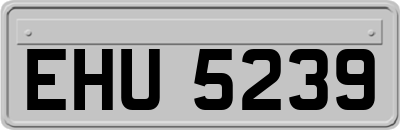 EHU5239
