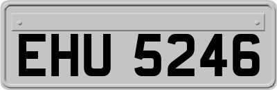 EHU5246