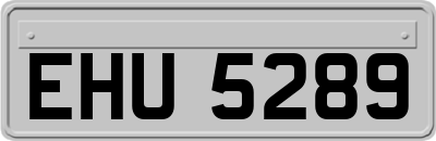 EHU5289