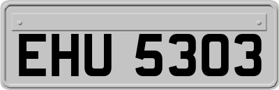 EHU5303