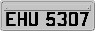 EHU5307